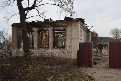 Губернатор поручил начать разбор сгоревших домов в павловской Николаевке