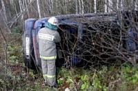 Под Новохоперском «ВАЗ» на полной скорости наехал на упавшее дерево
