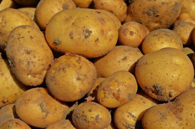 Картофельный вор выдал себя перегрузом легковушки в Воронежской области