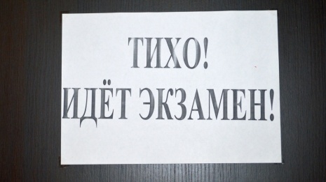 В Воронежской области итоговое сочинение написали 10 тыс школьников 