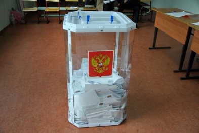 Воронежцы смогут следить за выборами президента в режиме онлайн 