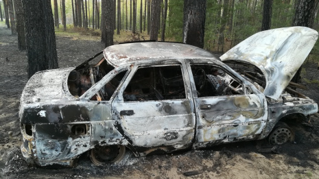 В Борисоглебске 2 парня сожгли угнанный автомобиль ВАЗ в лесу