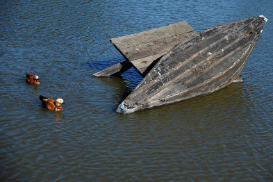 На Воронежском водохранилище перевернулась лодка с людьми