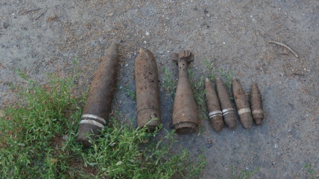 В Острогожском районе пенсионеры обнаружили в лесу 7 снарядов