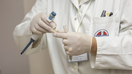 В Воронежской области за 9 месяцев зарегистрировали 7 случаев дирофиляриоза