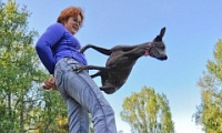 Воронежская дрессировщица и ее собака станцевали на чемпионате мира