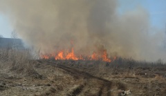 В нижнедевицком селе из-за непотушенного окурка сгорели два дома