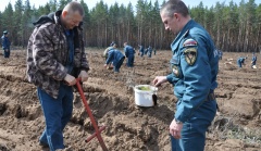 Павловские пожарные посадили новый лес
