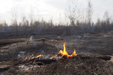 В Воронежской области объявили чрезвычайную пожарную опасность