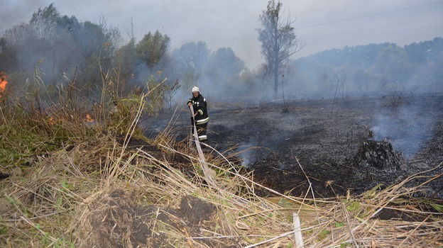 В Россошанском районе в пойме реки Сухая Россошь выгорела сухая трава на площади около пяти гектаров