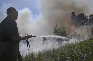 В Воронежской области за сжигание сухой травы и мусора оштрафовали 297 человек 