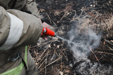 Бушующий больше суток лесной пожар в Борисоглебске Воронежской области локализовали