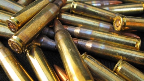 За незаконную пристрелку оружия в Богучарском районе трое мужчин заплатят штраф