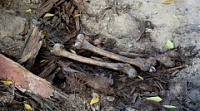 В Борисоглебске на месте строительстве стадиона обнаружили две могилы