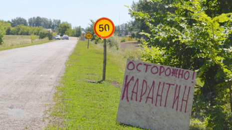 Каждый 10-й житель карантинного поселка в Воронежской области заболел коронавирусом