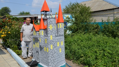 Житель Репьевки построил замок в собственном дворе