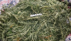 Полицейские изъяли у жителя Каширского района 200 граммов марихуаны