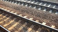 В Таловском районе на железной дороге погиб мужчина