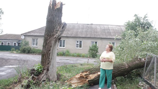В Верхнехавском районе сильные порывы ветра повалили деревья