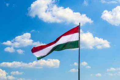 Воронежский губернатор предложил провести российско-венгерский форум 