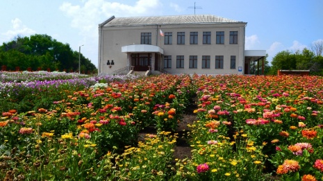 Клумба из 20 тыс цветов стала достопримечательностью семилукского села