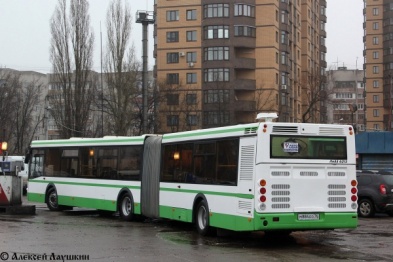 В Воронеже для маршрута №64 докупили 2 автобуса-гармошки