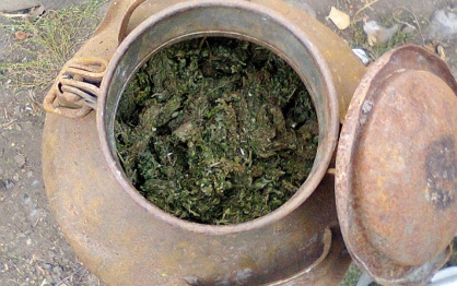 Воронежские наркополицейские нашли у охранника 5 кг марихуаны