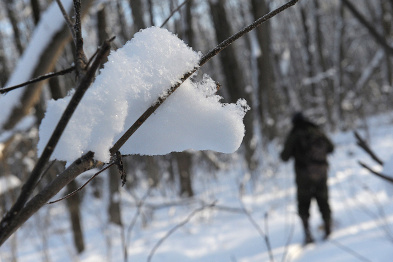 В Воронеже средняя месячная температура в феврале будет выше нормы 