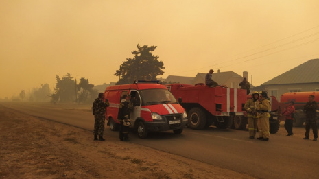В Борисоглебске попросили откликнуться очевидцев возгорания масштабного лесного пожара