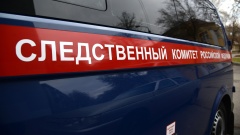 В Воронежской области водитель автокрана погиб после падения из-за порыва ветра