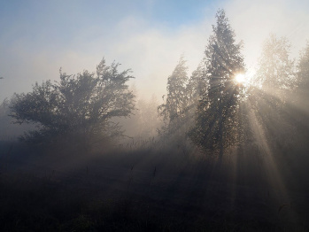 Дым от горящей 3 суток травы окутал район Воронежской области