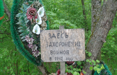 Историк попросил добровольцев убраться на братских могилах в лесу под Воронежем