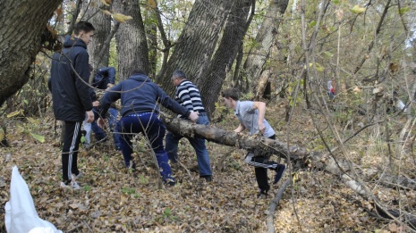 Лискинские волонтеры очистили территорию у малой речки Тормосовки 