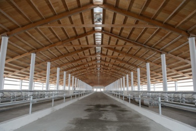 Молочный комплекс на 3,5 тыс голов дойного стада построят в Аннинском районе 