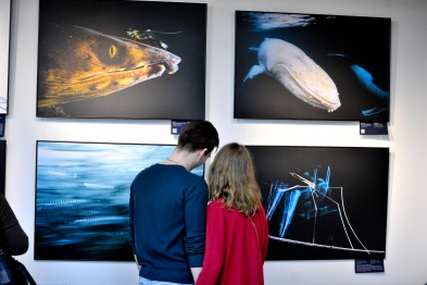 В Воронеже открылась масштабная выставка фотографий дикой природы