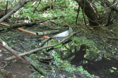 Русло реки под Воронежем забили строительным мусором, чтобы запитать пруд