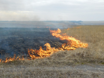 В Воронежской области выгорела часть музея-заповедника «Дивногорье»