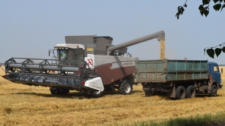 Рамонские аграрии собрали зерна на 20 тыс тонн больше 2015 года
