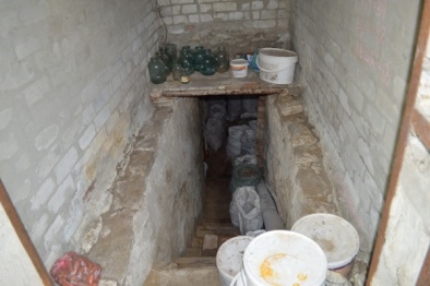 Под Воронежем мумию пропавшей женщины нашли в погребе через год