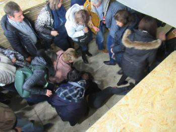 На концерте Scorpions в Воронеже девушка упала с трибуны на женщину