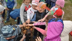 В Павловске впервые прошла акция «Собаки-герои»