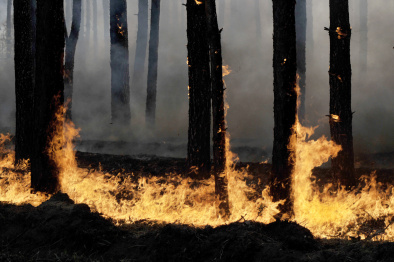 Два крупных пожара подбираются к воронежским селам