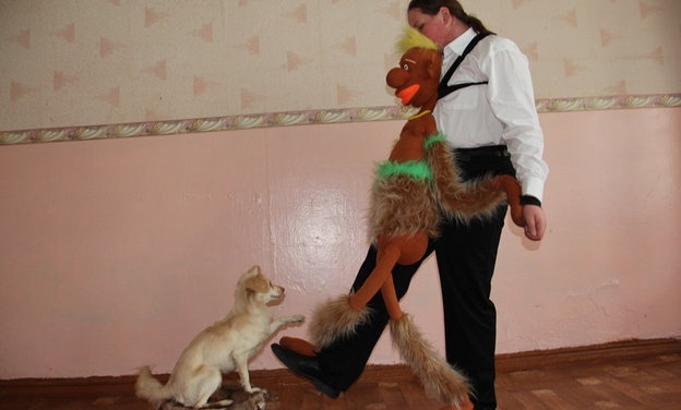 Новоусманский школьник разработал новый способ дрессировки собак