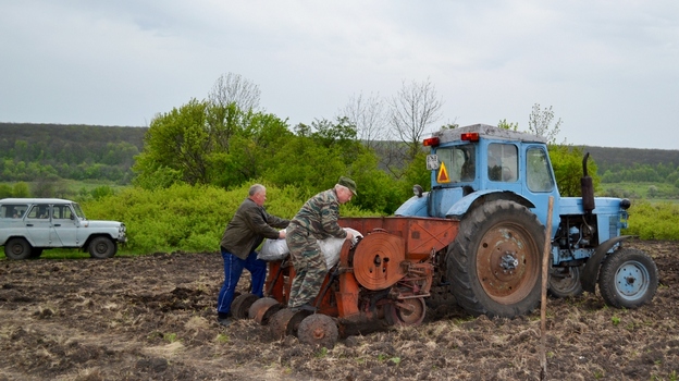В Бутурлиновском районе охотники и рыболовы посеяли кукурузу и топинамбур для подкормки диких животных