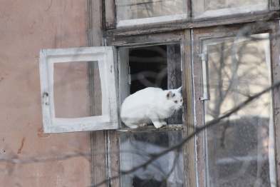 Наркоман вломился в окно к жительнице Воронежа