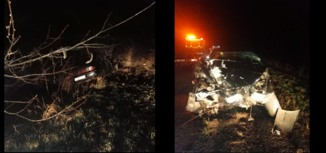 В Воронежской области «десятка» врезалась в дерево: погиб 33-летний водитель