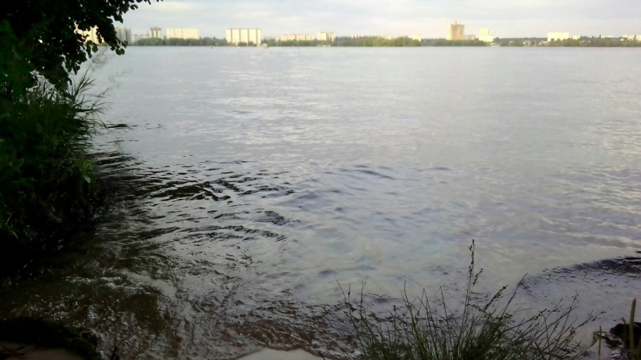 С самого начала купального сезона в Воронеже из-за алкоголя утонули 4 человека