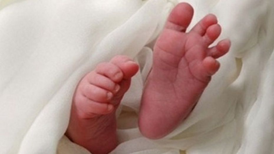 В Воронеже пытаются выяснить обстоятельства смерти двухнедельного ребенка