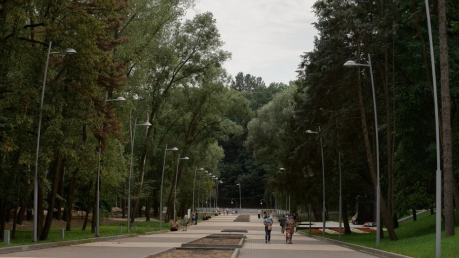 В воронежском парке «Динамо» в сентябре появится велопрокат