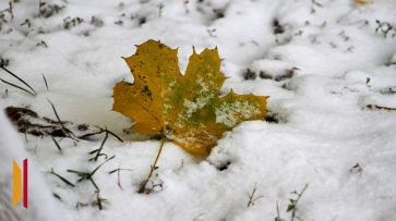 На рабочей неделе воронежцев ждет дождь и мокрый снег